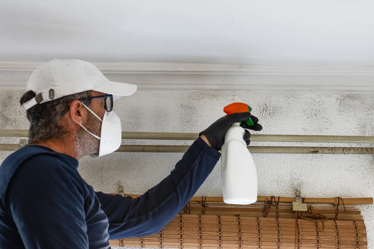 An image of a man spraying chemicals onto mold covering a white ceiling representing structural contamination and mold damage claims supported by Trident Law HQ