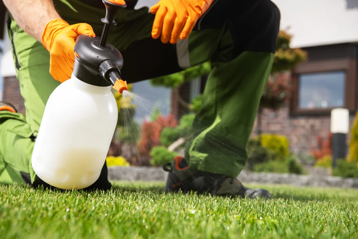 An image of a landscaper wearing green uniform and orange gloves crouched over a container with weed killer illustrating harmful agricultural chemical exposure and Paraquat lawsuits handled by Trident Law HQ