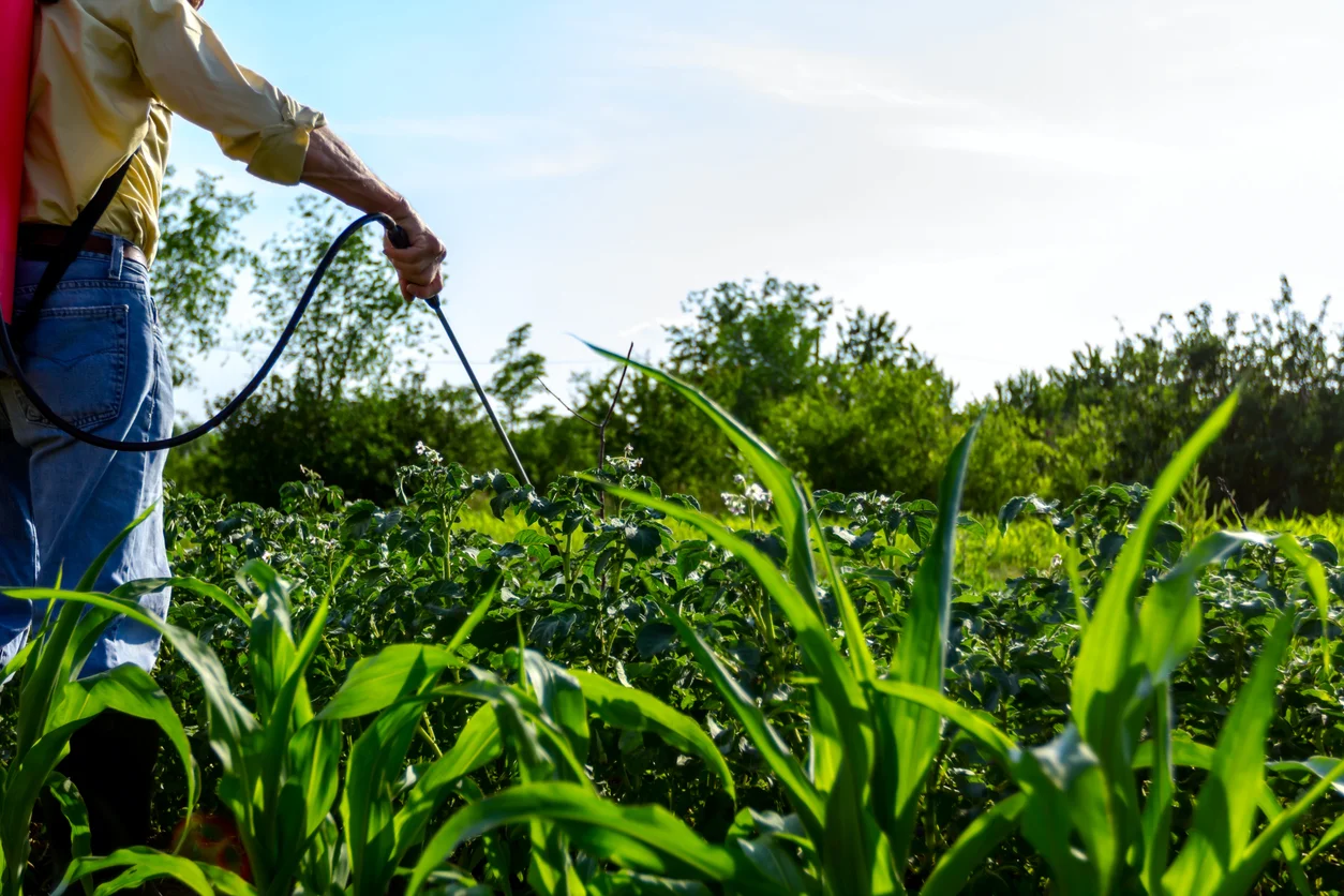 An image of a landscaper's hand spraying pesticides over green crop symbolizing Roundup weed killer exposure and resulting legal claims managed by Trident Law HQ